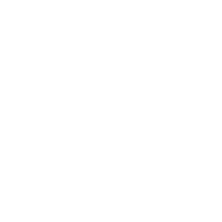 Search Engine Optimization Icon